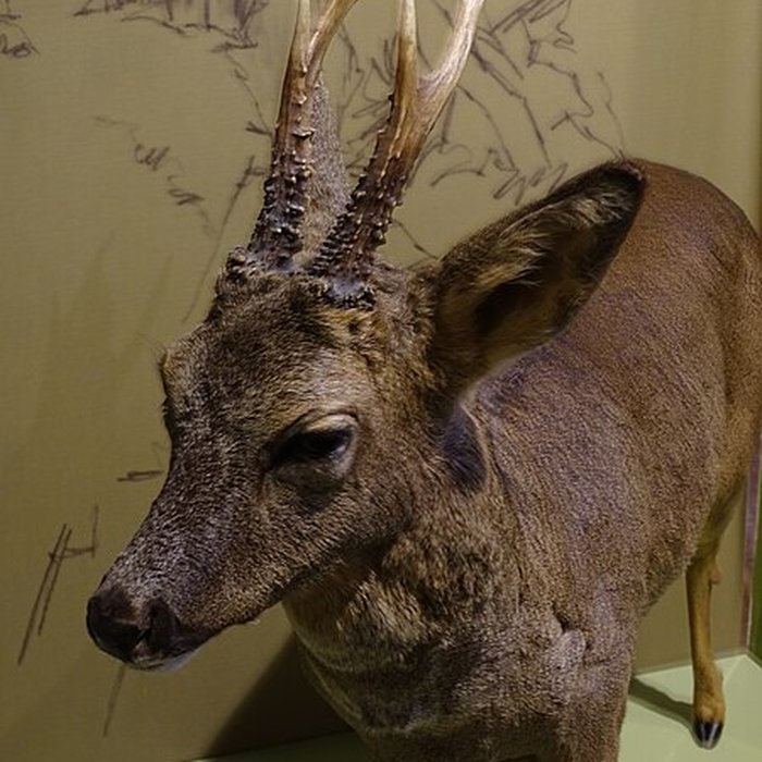 Photo de Cité de la préhistoire