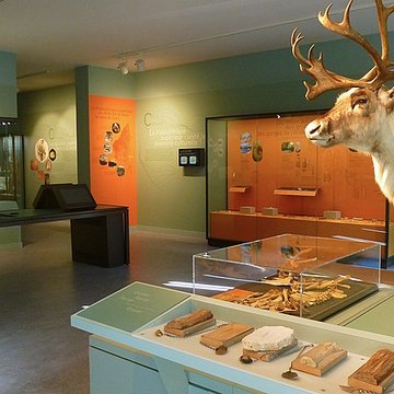 Cité de la préhistoire