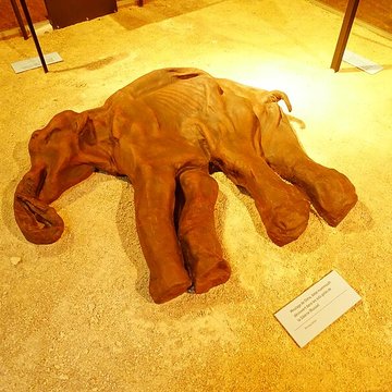 Cité de la préhistoire