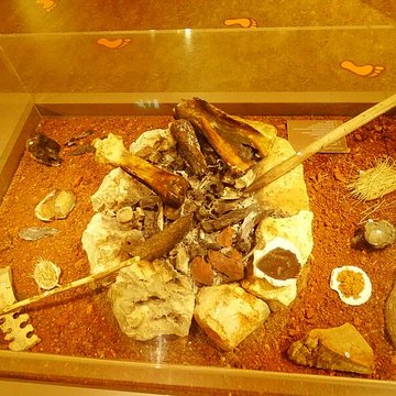 Cité de la préhistoire