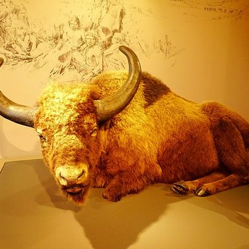 Cité de la préhistoire