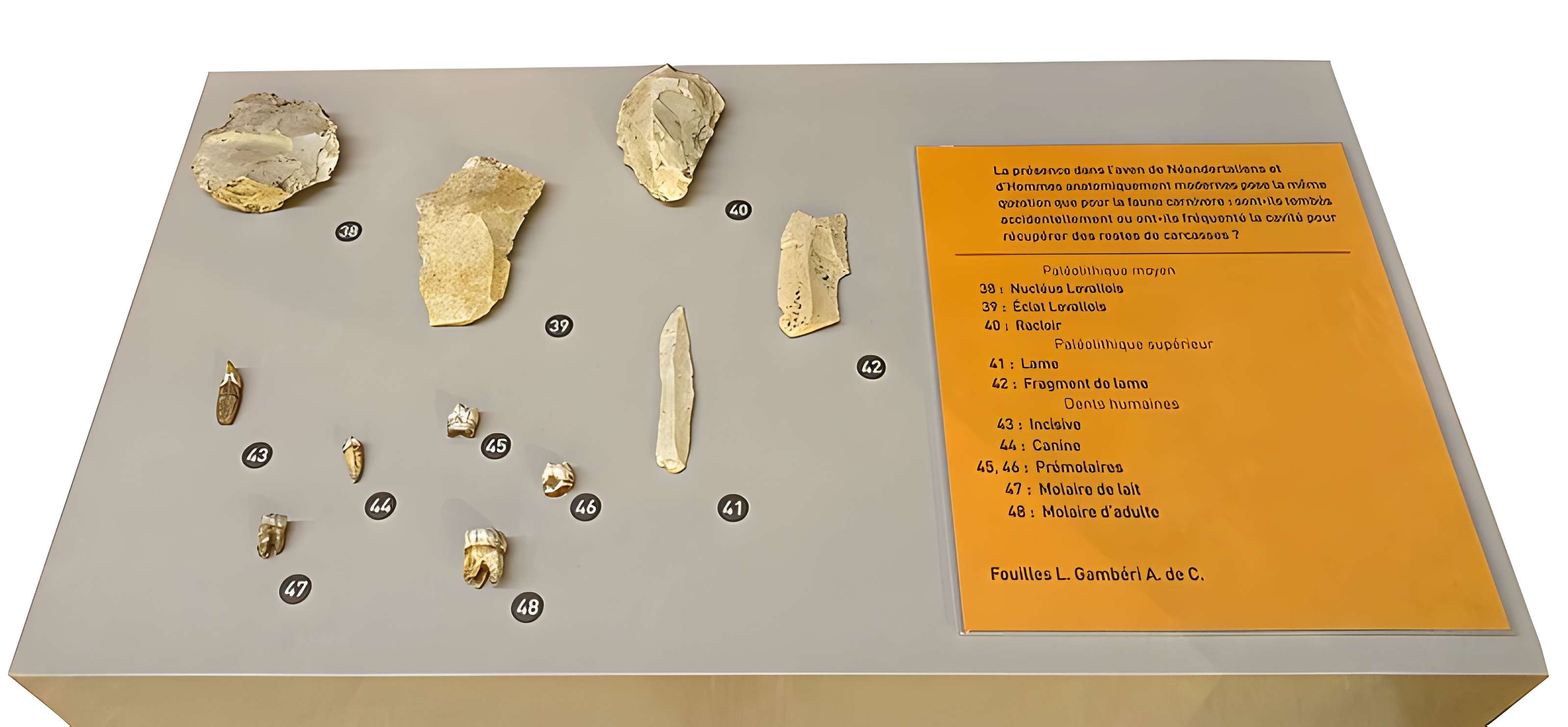 Cité de la préhistoire