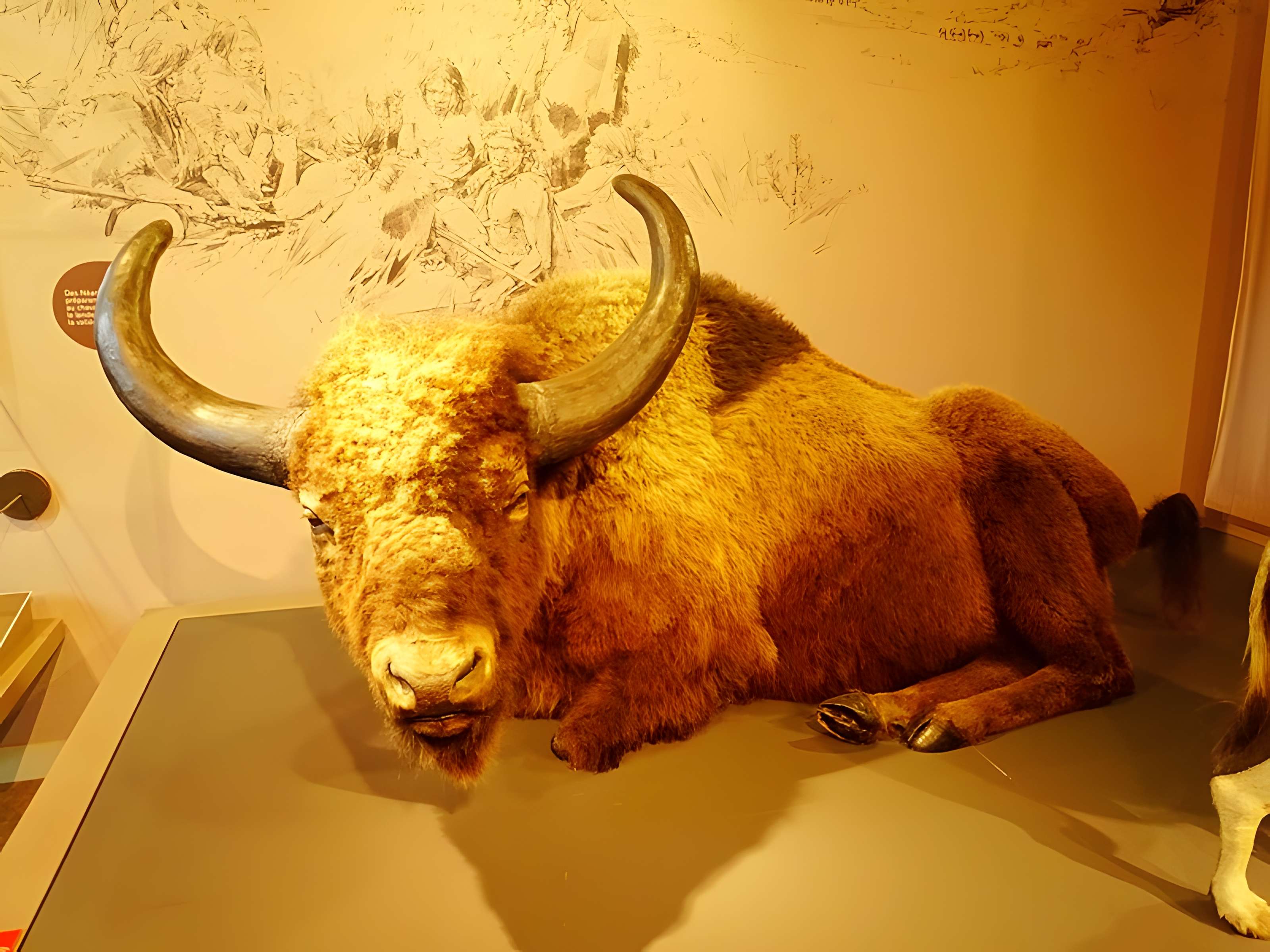 Cité de la préhistoire