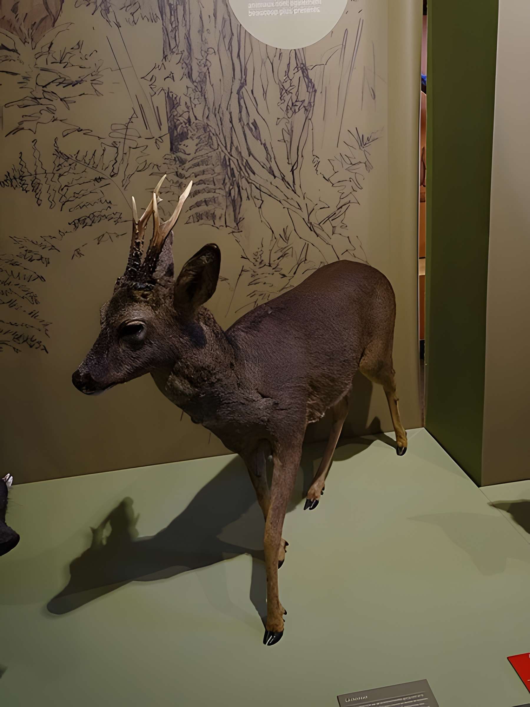 Cité de la préhistoire