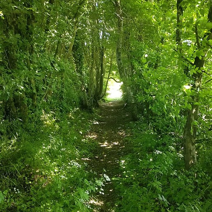 Photo de Site archéologique de Jublains camp romain