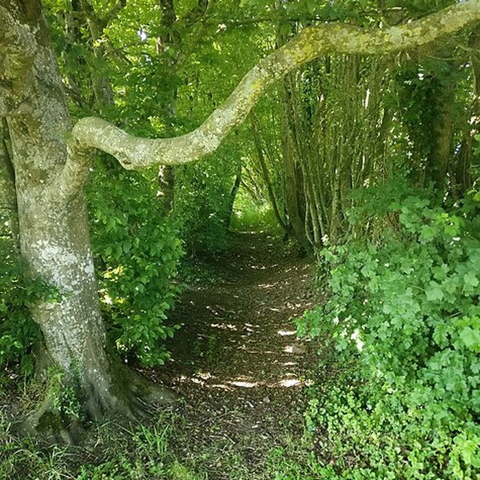 Photo de Site archéologique de Jublains camp romain