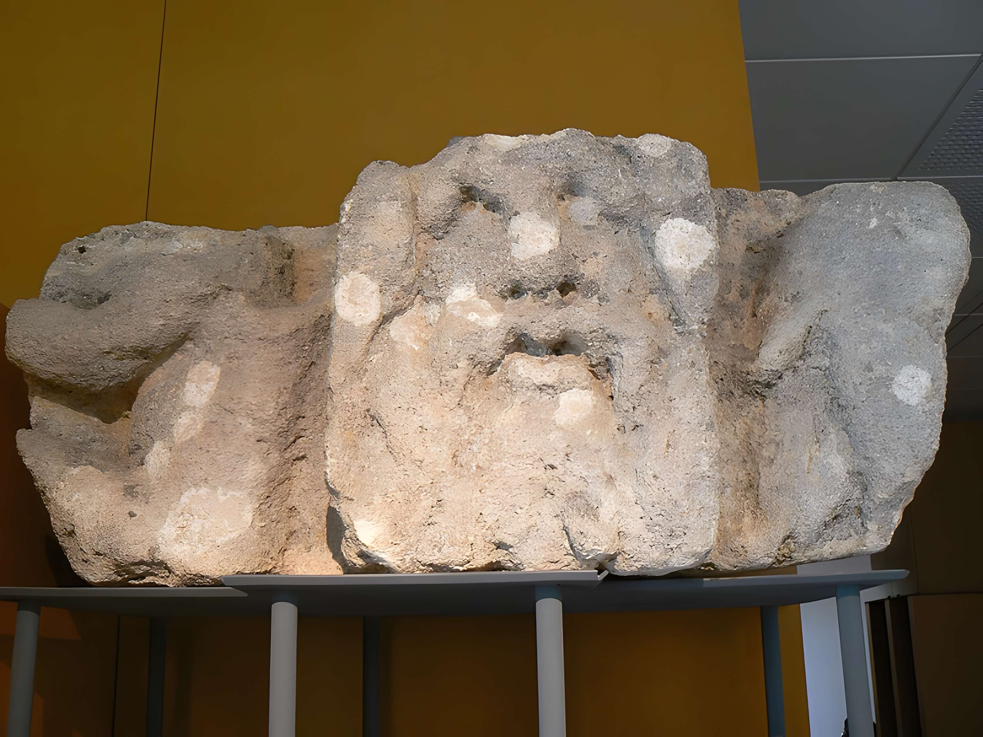 Site archéologique de Jublains (camp romain)