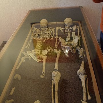 Musée darchéologie