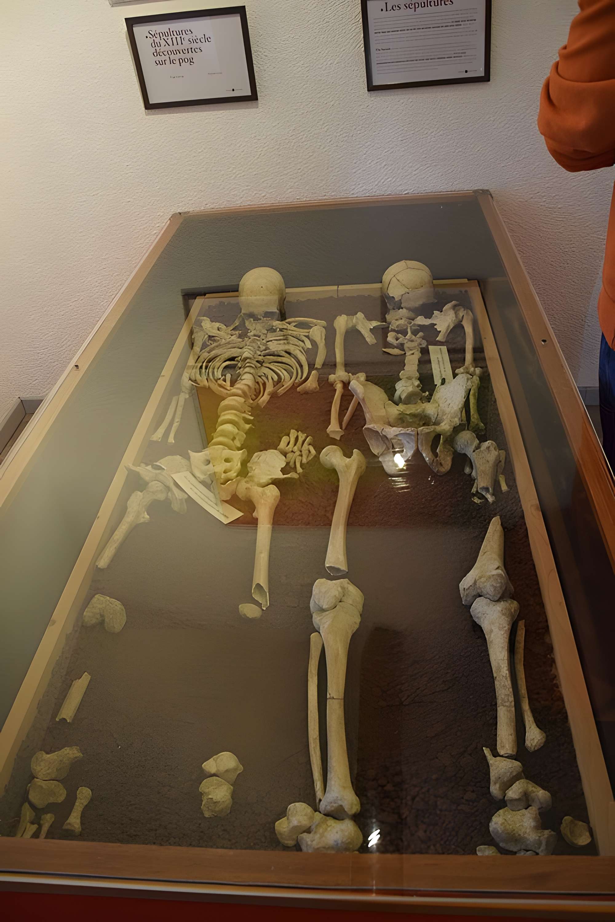 Musée d'archéologie