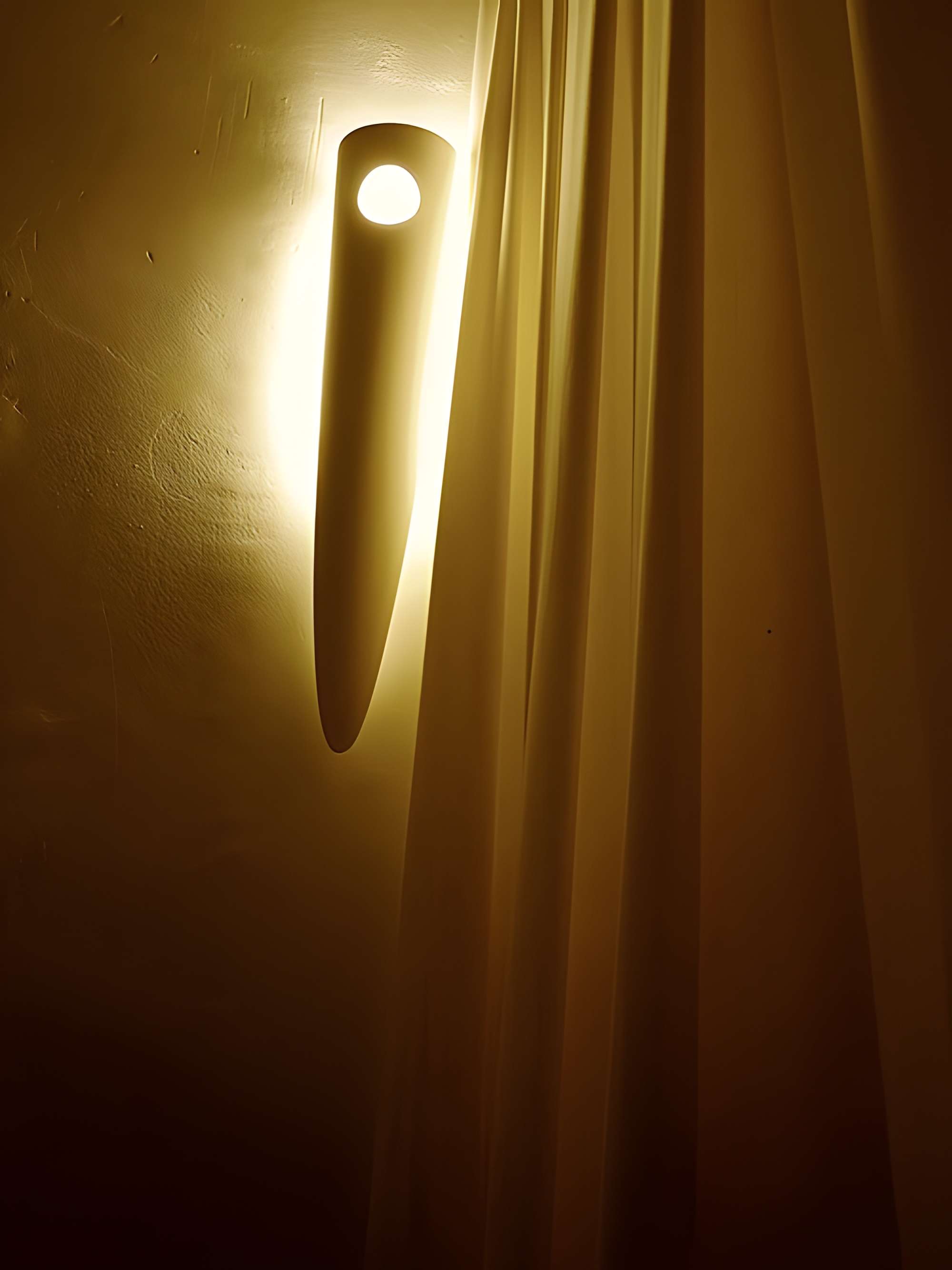 Musée du Palais des Evêques