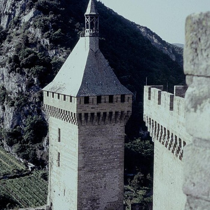 Photo de Musée départemental de lAriège