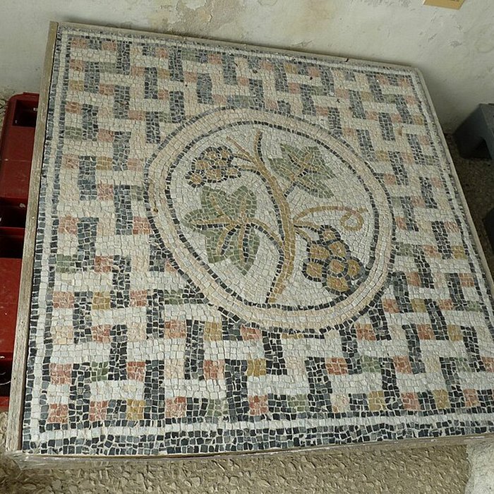 Photo de Site gallo-romain de Barzan