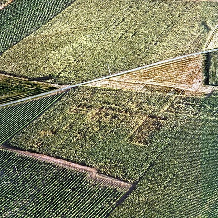 Photo de Site gallo-romain de Barzan