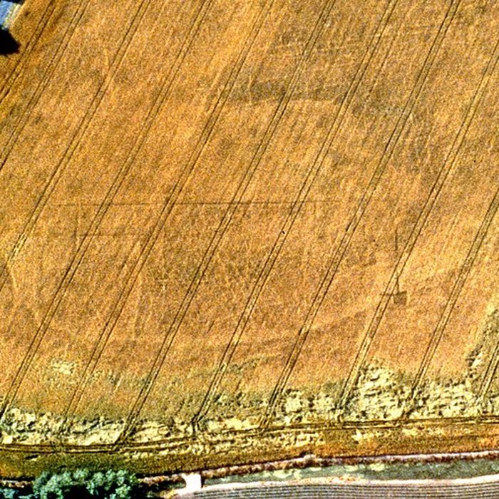 Photo de Site gallo-romain de Barzan