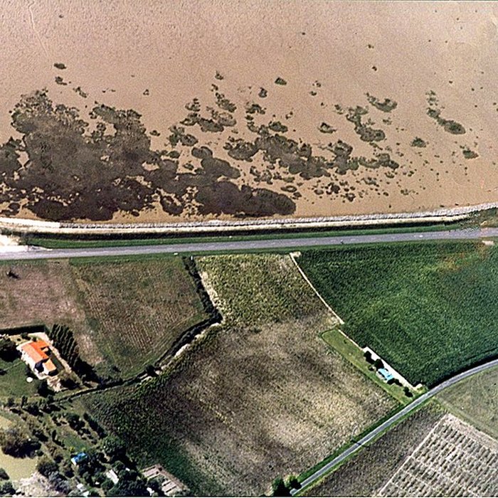 Photo de Site gallo-romain de Barzan