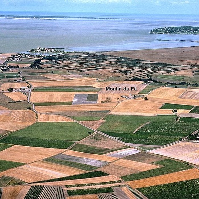 Photo de Site gallo-romain de Barzan