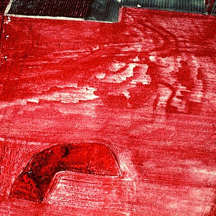 Photo de Site gallo-romain de Barzan