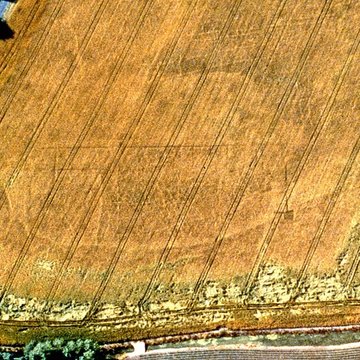 Site gallo-romain de Barzan