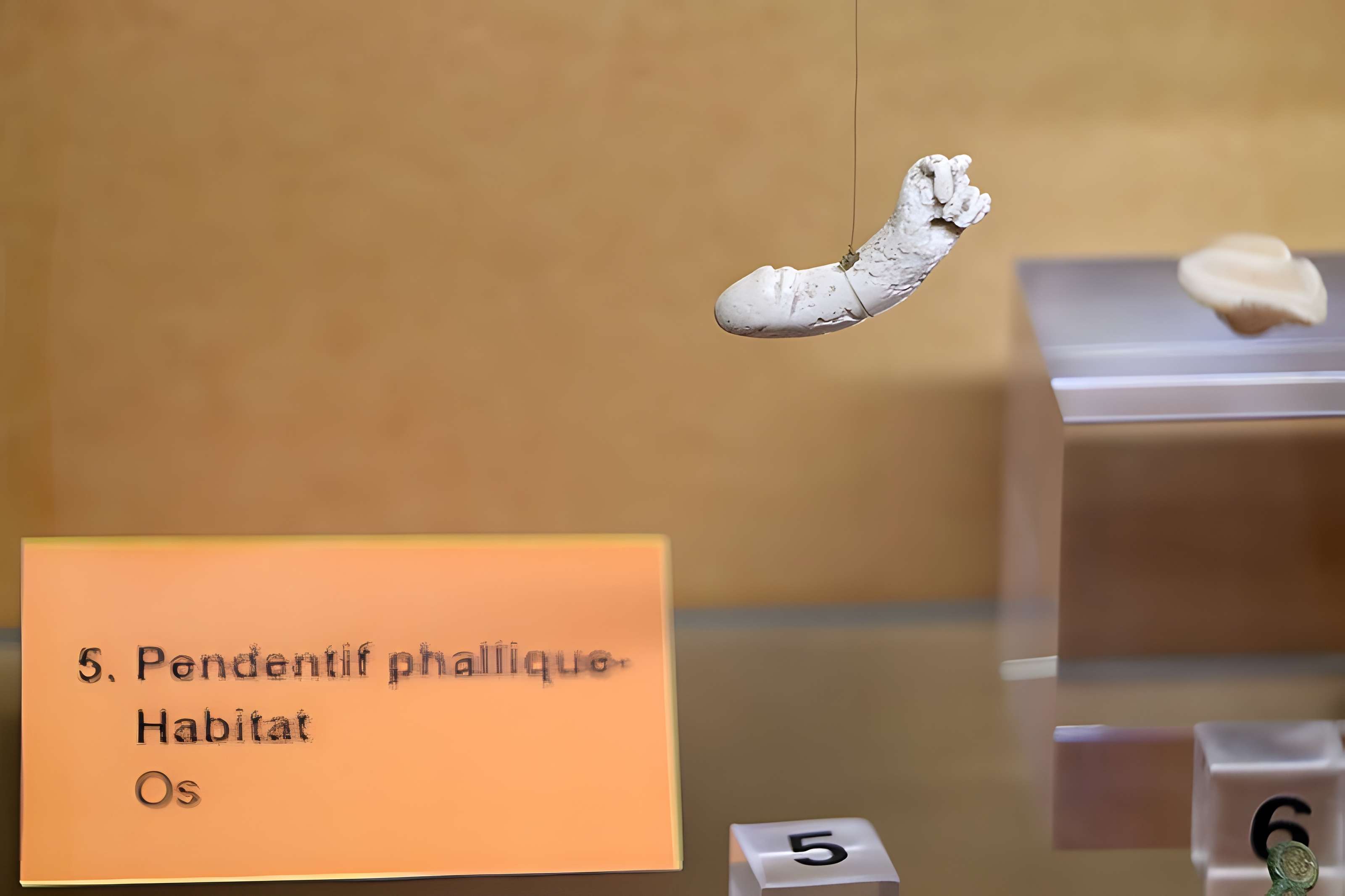 Site gallo-romain de Barzan