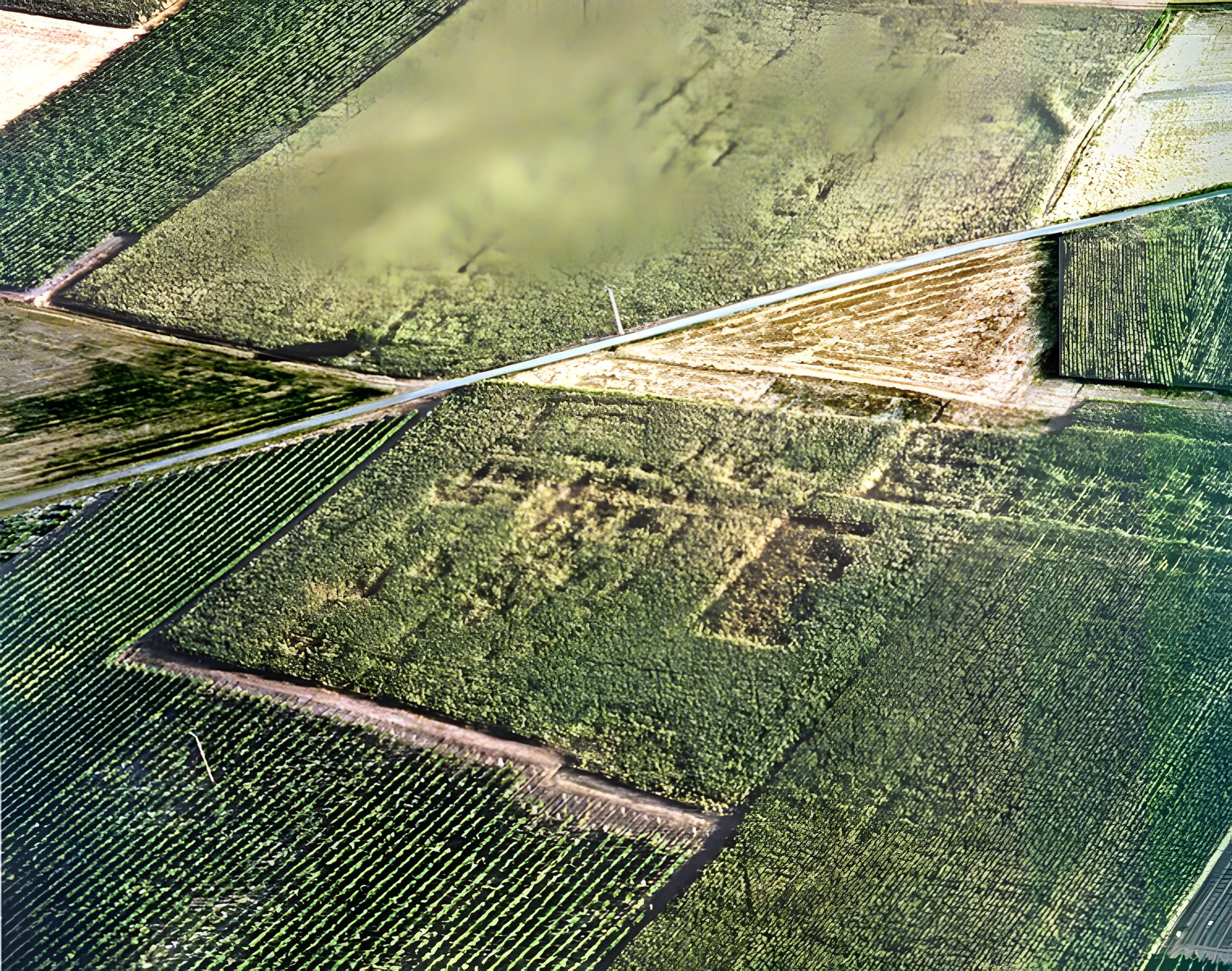 Site gallo-romain de Barzan