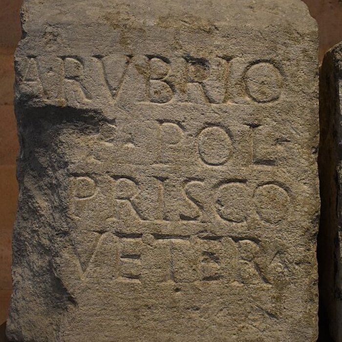 Photo de Musée Narbo Via