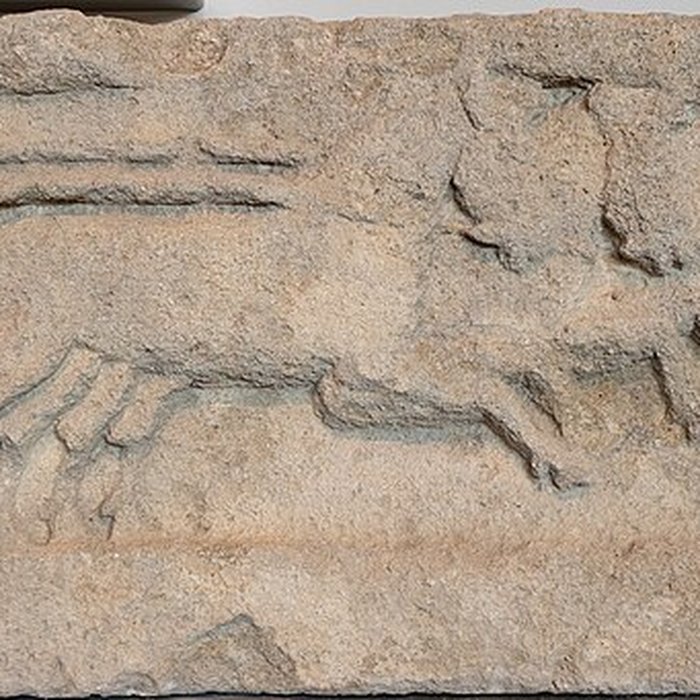 Photo de Musée Narbo Via