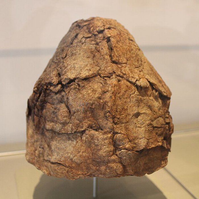 Photo de Musée Narbo Via