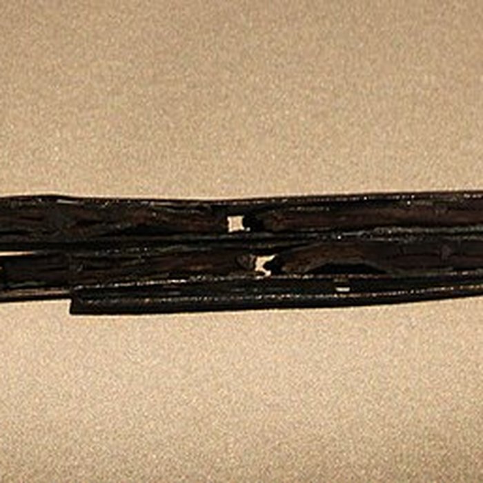 Photo de Musée Narbo Via