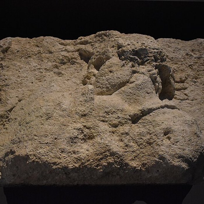 Photo de Musée Narbo Via