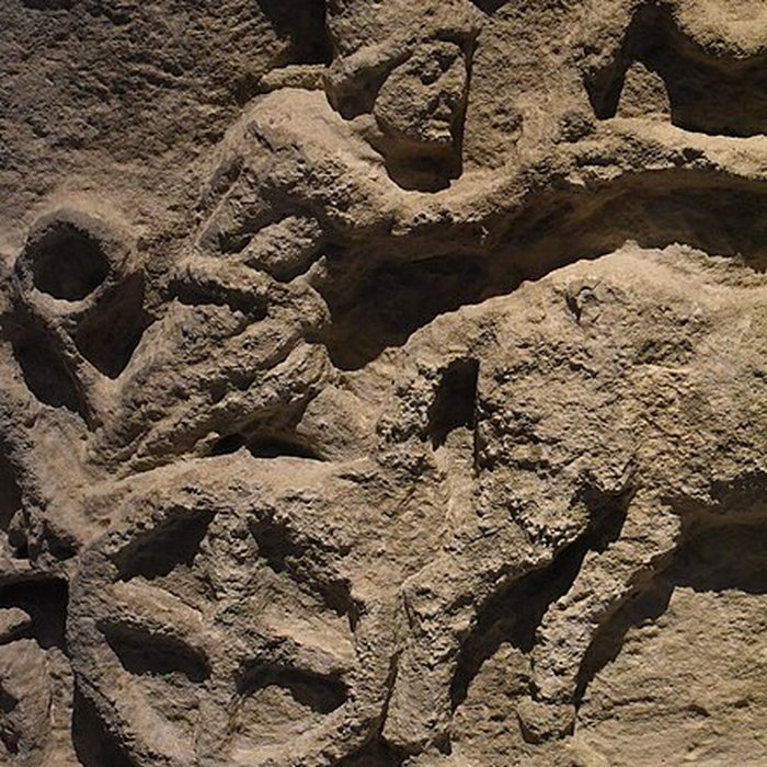 Photo de Musée Narbo Via