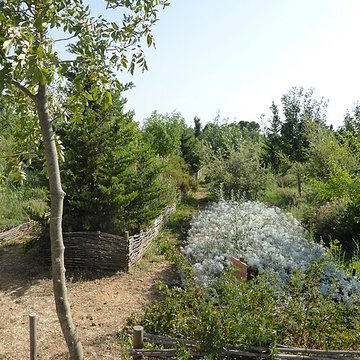 Musée archéologique