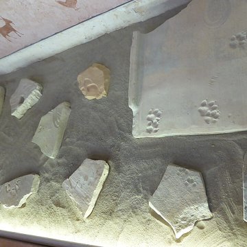 Musée archéologique