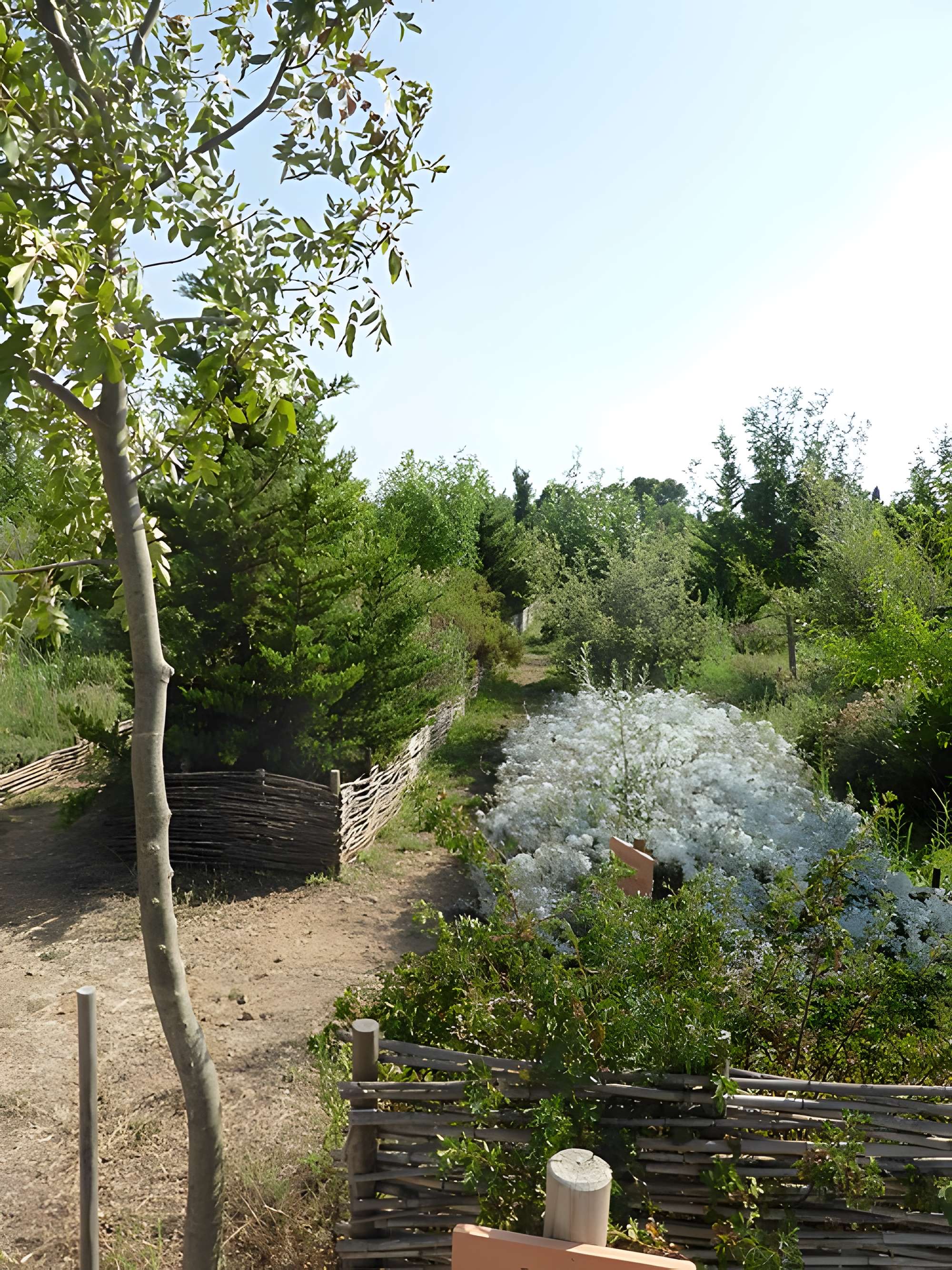Musée archéologique