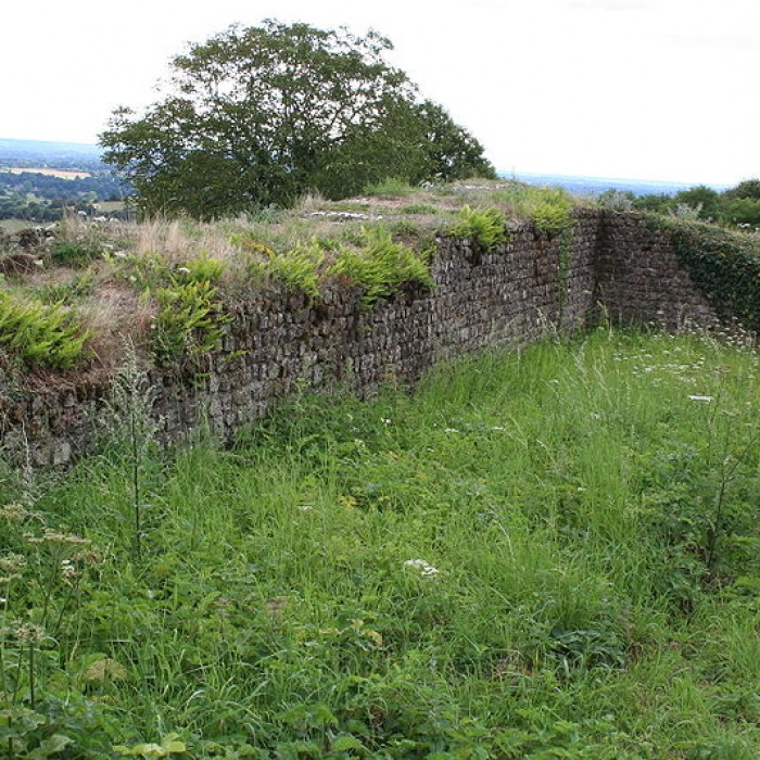 Photo de Station romaine de Rubricaire à Sainte-Gemmes-le-Robert
