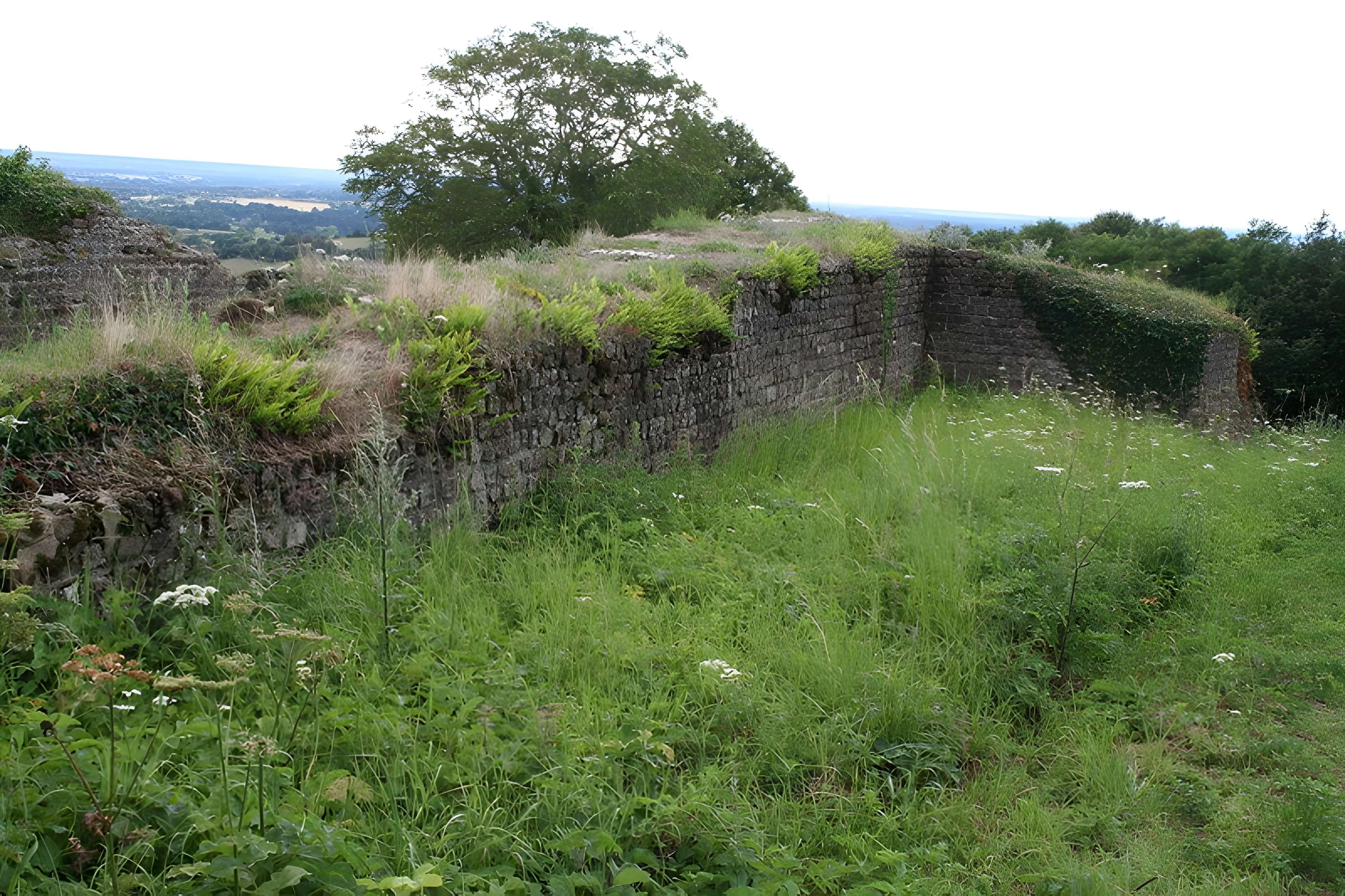 Station romaine de Rubricaire à Sainte-Gemmes-le-Robert 