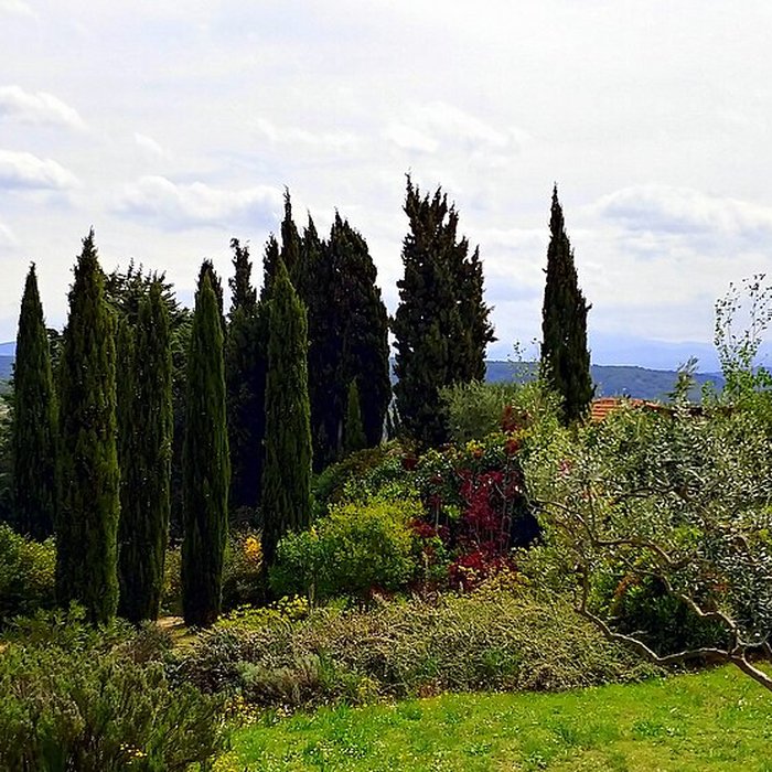 Photo de Musée de latelier de Paul Cézanne