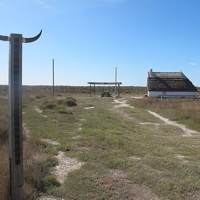 Photo de Musée camarguais