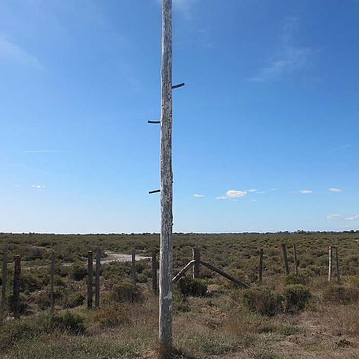 Photo de Musée camarguais