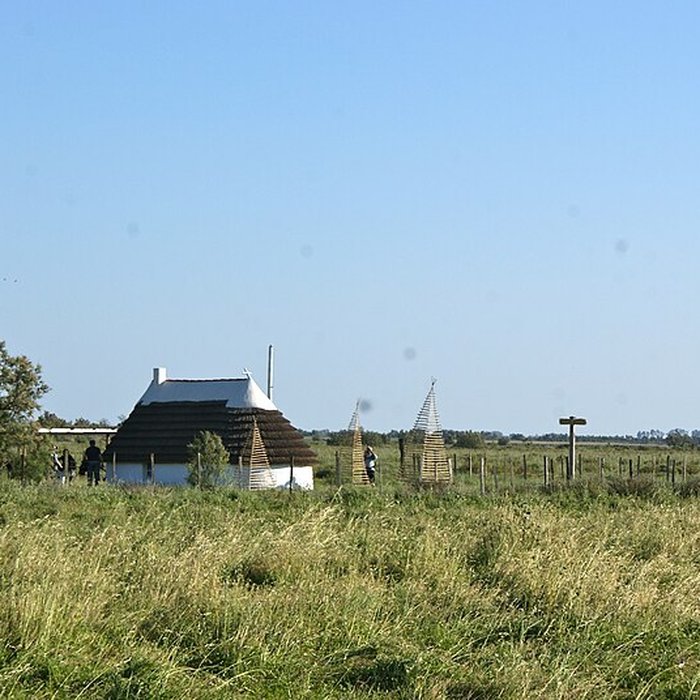 Photo de Musée camarguais
