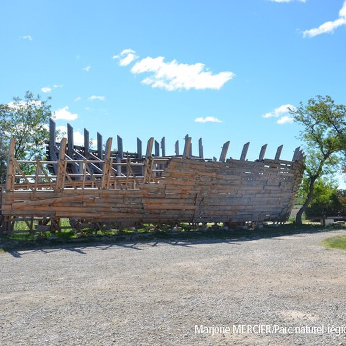 Photo de Musée camarguais