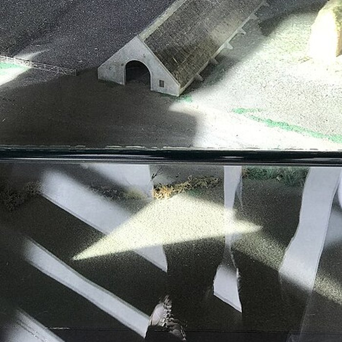 Photo de Musée camarguais