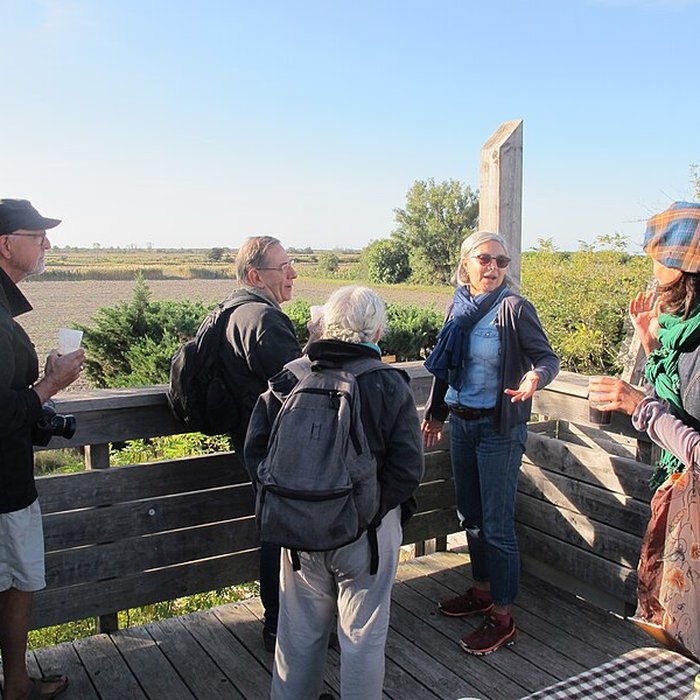 Photo de Musée camarguais