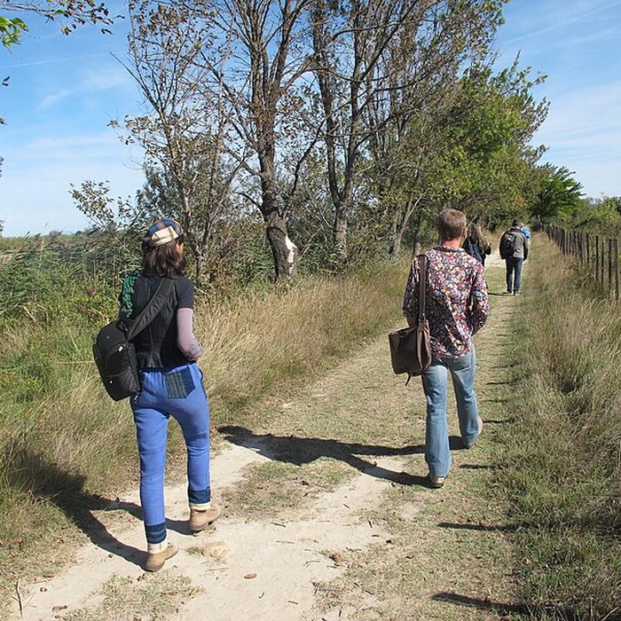 Photo de Musée camarguais