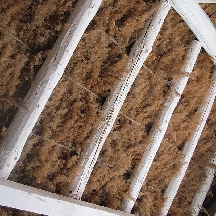 Photo de Musée camarguais