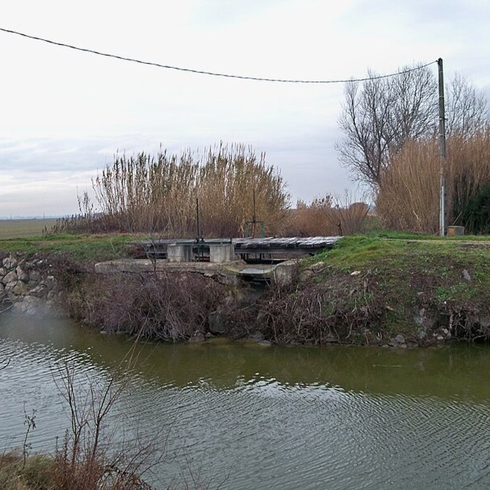 Photo de Musée camarguais
