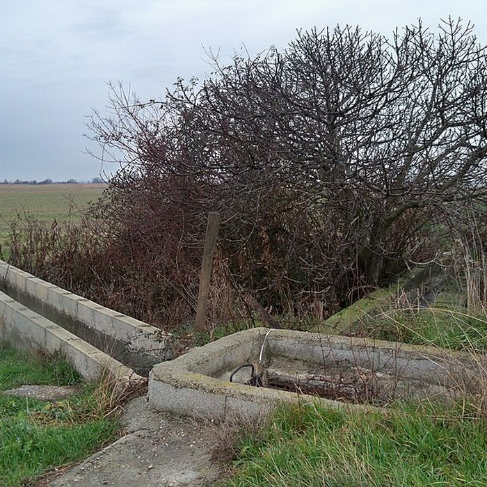 Photo de Musée camarguais