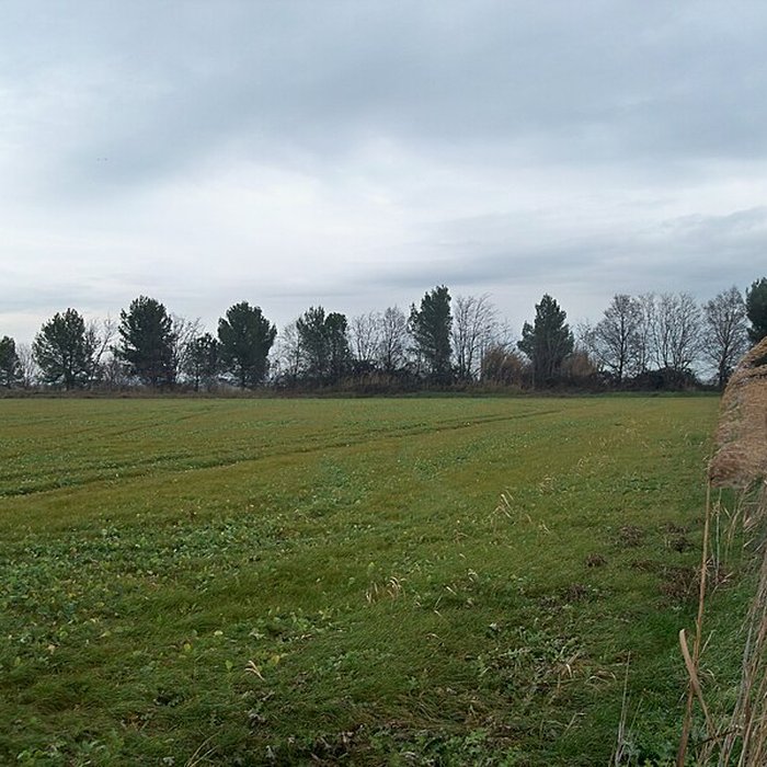 Photo de Musée camarguais