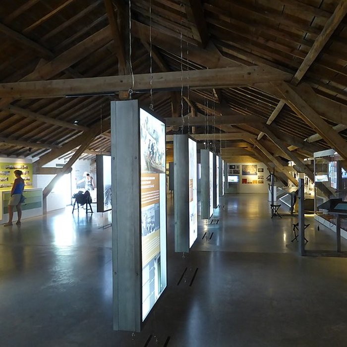 Photo de Musée camarguais