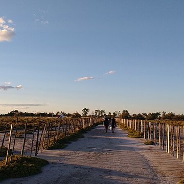 Musée camarguais