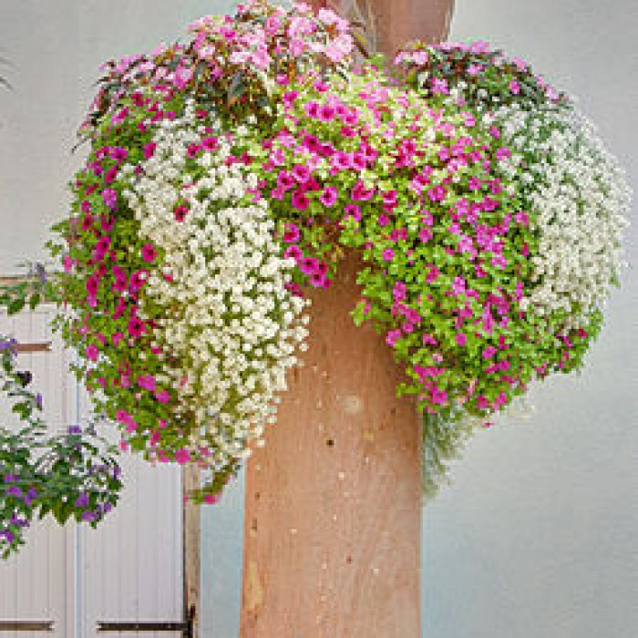 Photo de Statue de Saint-Maurice à Soultz-Haut-Rhin